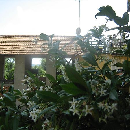 Fattoria Del Pino Bed & Breakfast Orta San Giulio Dış mekan fotoğraf