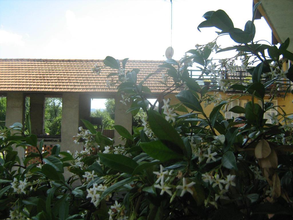 Fattoria Del Pino Bed & Breakfast Orta San Giulio Dış mekan fotoğraf