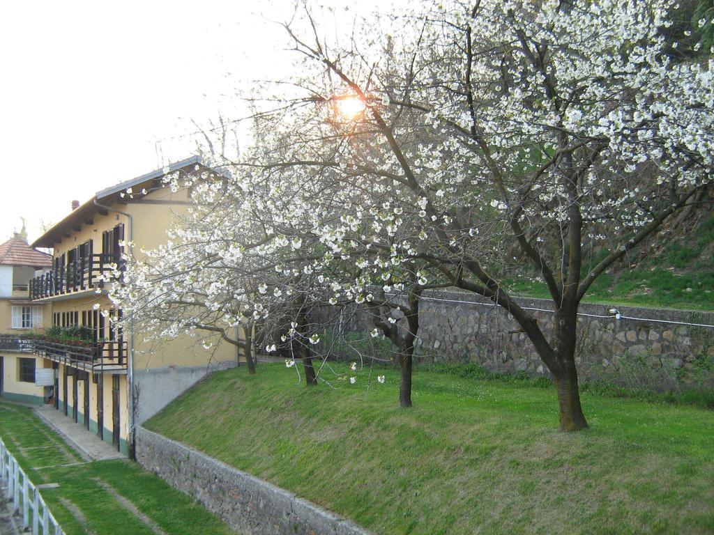 Fattoria Del Pino Bed & Breakfast Orta San Giulio Dış mekan fotoğraf