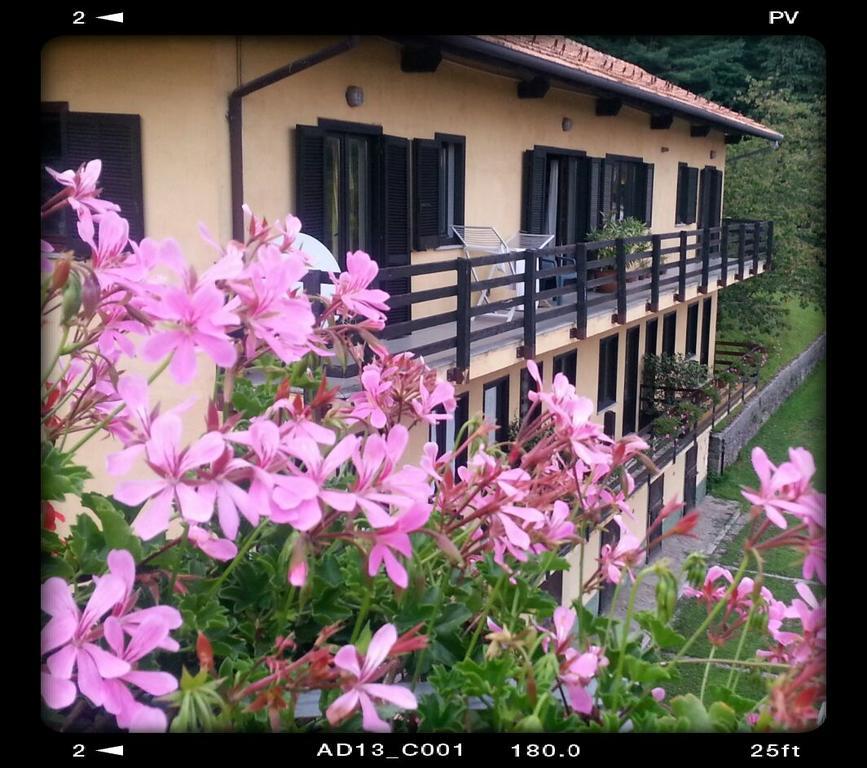 Fattoria Del Pino Bed & Breakfast Orta San Giulio Dış mekan fotoğraf